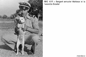 158 - ARMEE DE L'AIR EN ALGERIE 1945-1962-6 (21)